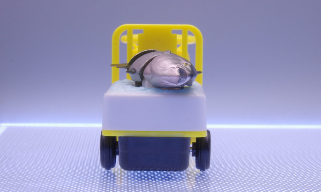 かっぱ寿司 キャンペーントミカ ターレー ぴちぴち動くまぐろ